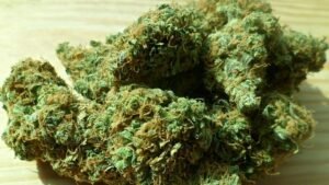 Read more about the article Getting Medical and Recreational Marijuana Near Me in Washington DC