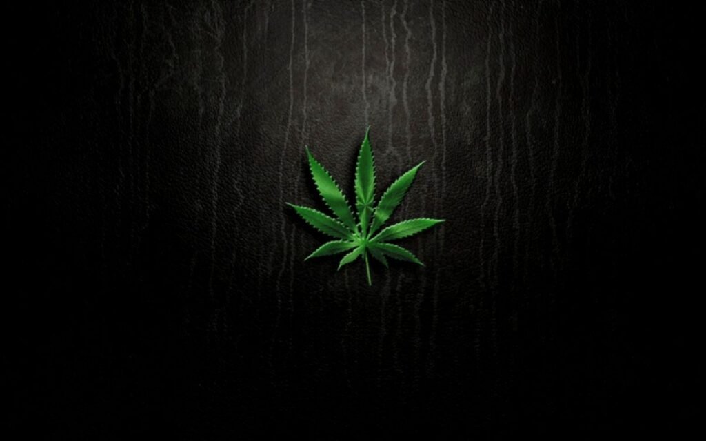 What Consumers Should Know About Cannabis Consumption