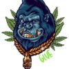Gorilla Glue 4 - TKO