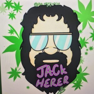 Jack Herer Strain