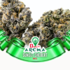 Sunset Sherbet Strain