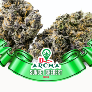 Sunset Sherbet Strain