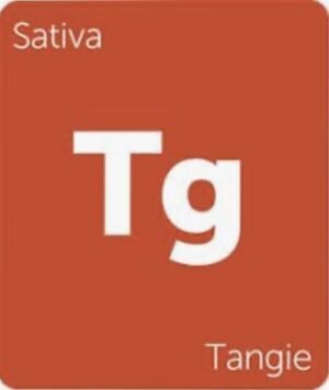Tangie Strain