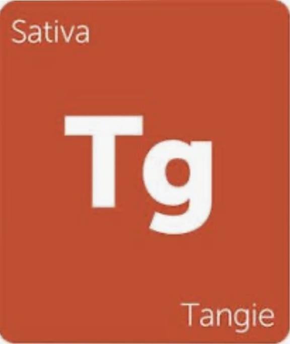 Tangie Strain