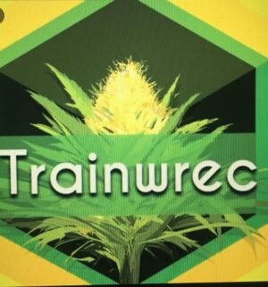 Trainwreck Strain