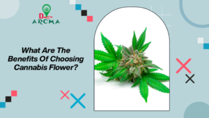 Read more about the article What Are The Benefits Of Choosing Cannabis Flower?